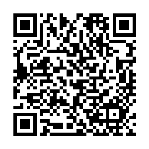 估计柳梦露好不容易在公司稳定下来的局面又要崩塌了二维码生成