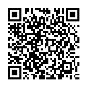 估计根本发现不了姜若馨与姬月蓝两个人神色之中的细微变化二维码生成
