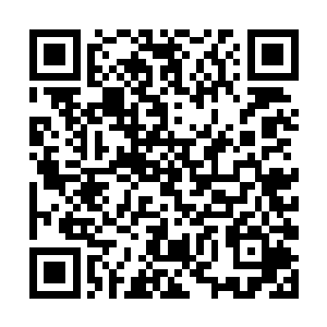 估计没有一个能够抵抗得了这位仙子散发出来的魅力二维码生成