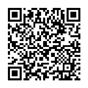 估计没有任何人能够提的起这个勇气去对付十二圣骑二维码生成