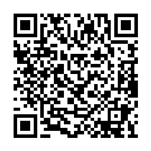 估计现代那些传销团伙的人都没有她这么会说谎二维码生成