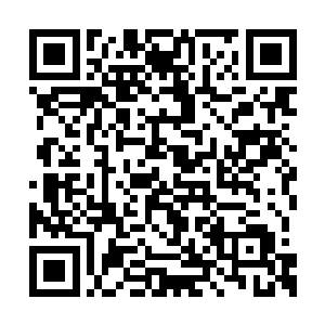 估计现在天机派还有天圣宗应该已经开始动手了二维码生成