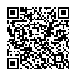 估计现在已经到了那个萨克小镇上了就等着你们前去呢二维码生成
