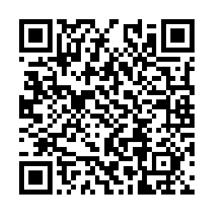估计立马就会变成一起佣兵界有史以来最大的惨案二维码生成