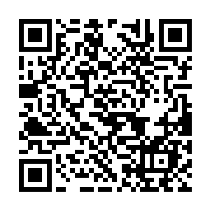 估计等到第二天竺君钰去朝议回来怕我也见不着他二维码生成