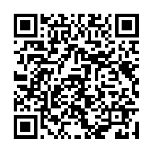 估计自己身体的本能还是在无形之中发挥着作用吧二维码生成