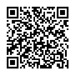 估计至少几万里范围内还是难逃它的强大恐怖的感应能力二维码生成