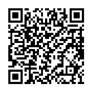 估计轮远帆现在是想着怎么夺到新任族长的位子二维码生成