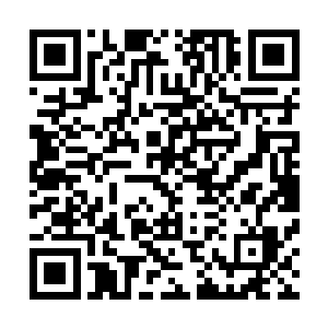 估计还能带上一大批无法感应和无法遇劫的天份有缺的弟子二维码生成