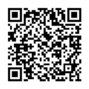 估计这也是廷尉府敢把这里放开让人参观的原因二维码生成