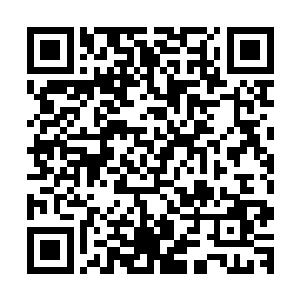 估计那个号称神界第一美女的仙儿就是这个榜单上的第一名吧二维码生成