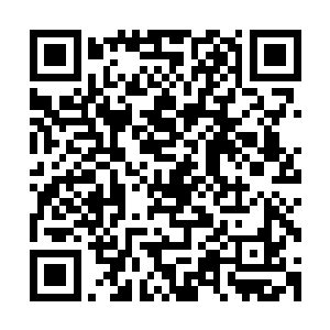 估计那些工作人员先前已经全部被对方带到了楼下会议室里面二维码生成