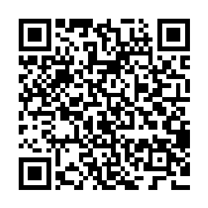 估计那次遇到碧眼金甲虎他也是头一次遇到中城级以上的异兽二维码生成