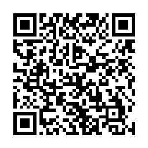 估计都要被吓得尿裤子了被一个已经死掉的人掐住脖子二维码生成