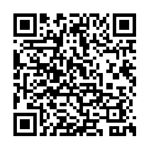 估计除了土地公这位武力值异常惊人的高手之外二维码生成