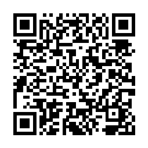 伴嘉靖帝位皇帝就相当于伴了一只神经病的猛虎二维码生成