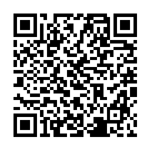 伴着蜜莉恩的视线无意间落在餐桌边那个她饭前送给他二维码生成