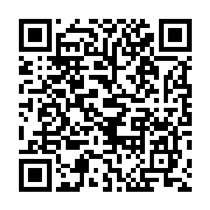 伴随着一个诡异的血色的符文也出现在了杀戮天尊的面前二维码生成