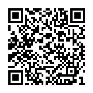 伴随着一股属于始境强者的法则之力包裹住剑尘二维码生成