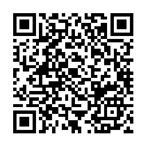 伴随着一股恐怖的力量也朝着两个人的身上碾压过来二维码生成