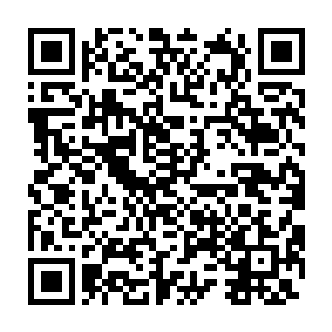 伴随着一股恐怖的毁天灭地的气息也直接从鸿蒙虚天塔上面散发出来二维码生成