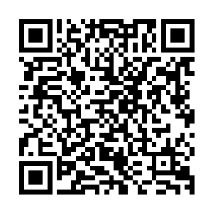 伴随着一股恐怖的浩瀚的气息也直接从第二元神的身上散发出来二维码生成