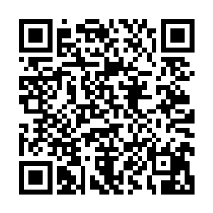 伴随着一股恐怖的浩瀚的气息也瞬间出现在了杨戬的识海之中二维码生成