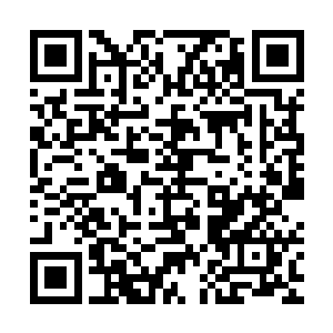 伴随着一股恐怖的能量风暴也瞬间直接从龙傲天的身上散发出来二维码生成