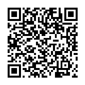伴随着一股无比邪恶的气息也是开始从棺材上面蔓延开来二维码生成