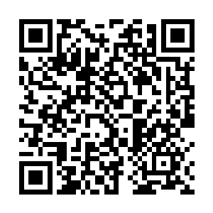 伴随着一股滂湃的能量气息也瞬间直接从上面散发出来二维码生成