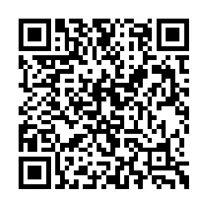 伴随着一道血色的光幕直接八根光柱笼罩了起来二维码生成