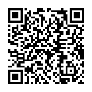伴随着一道道无比玄妙的气息也是从上面散发出来二维码生成