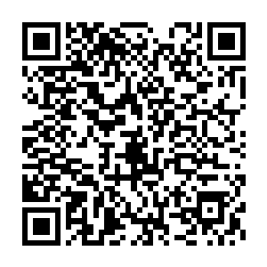 伴随着周围的浓郁的雷之力也疯狂的朝着龙傲天的体内疯狂的涌去二维码生成