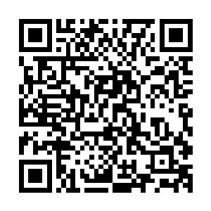 伴随着望向紫色莲花的目光之中也露出了一抹无比炽热的神情二维码生成