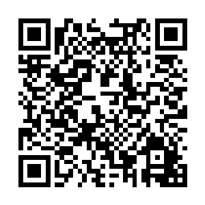 伴随着楚旬等人那一阵阵充满了杀机和悲痛的咆哮二维码生成