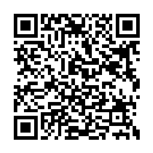 伴随着米肯西学派在死域大陆上的不断发展壮大二维码生成