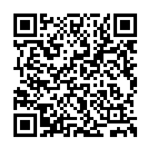 伴随着雷林手指的压力而微微凹陷下去一个弧度二维码生成