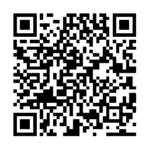 伴随着龙傲天的周围知己诶出现了几道诡异的黑色的光柱二维码生成