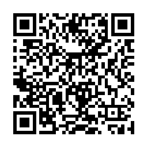 伸了个标准的猫式懒腰才觉得身子骨顺利的被撑开了二维码生成