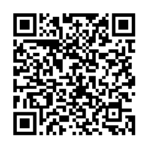 伸出双手紧紧地把叶温柔看起来相当瘦弱的身体给抱在怀里二维码生成