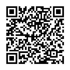 伸出小手轻轻的在张小凡的伤口处轻轻的碰了一下二维码生成