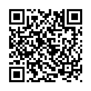 伸出爪子抓住玄武龟肚皮上的腹甲二维码生成