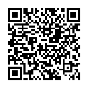 伸出纤纤玉手捏了捏包子小丫鬟带着婴儿肥的脸蛋二维码生成