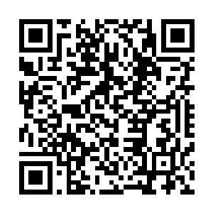 伸手一招紫燕拳套直接带着那一个断臂回到了孔小萌的面前二维码生成