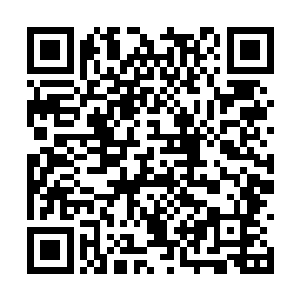 伸手剥了一个晶莹剔透的提子塞到了季疏云的口中二维码生成