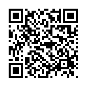 伸手却去拿了只红纱扎就勾了金线的蝴蝶二维码生成