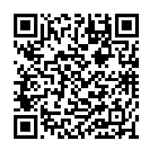 伸手拍拍她的后背但谁让她就穿了一件小吊带呢二维码生成