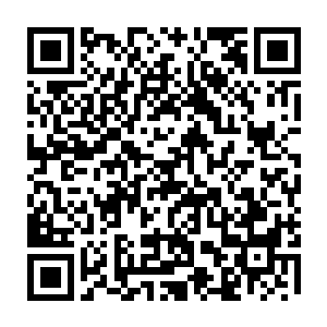 伸手指了指在一楼大厅中间围绕着咕噜咕噜冒着乳白袅绕灵气的灵泉周围二维码生成