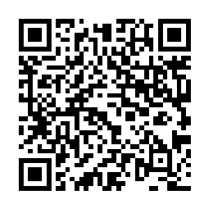 伸手猛地一把抓住了砍刀的刀刃阻止刀刃继续往身体里面陷二维码生成