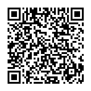 伸手进一步挑高并固定住夭华因为抬眸看他而本就已经有些微微抬高的下颚二维码生成